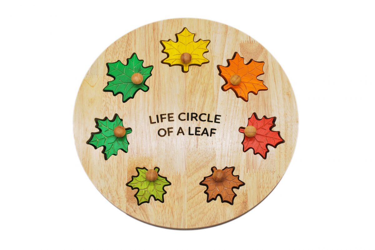 The Leaf's Circle of Life Puzzle